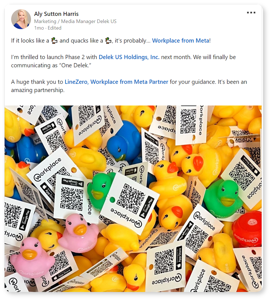 Case Study Delek & Workplace from Meta LineZero